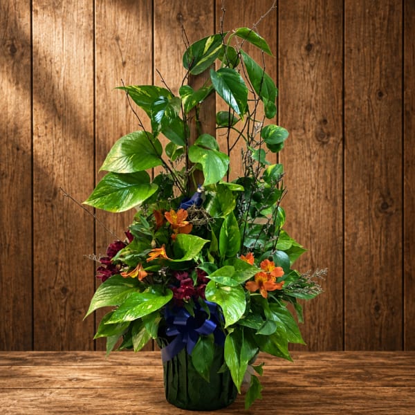 Tall leafy plant arrangement with orange flowers in a dark container