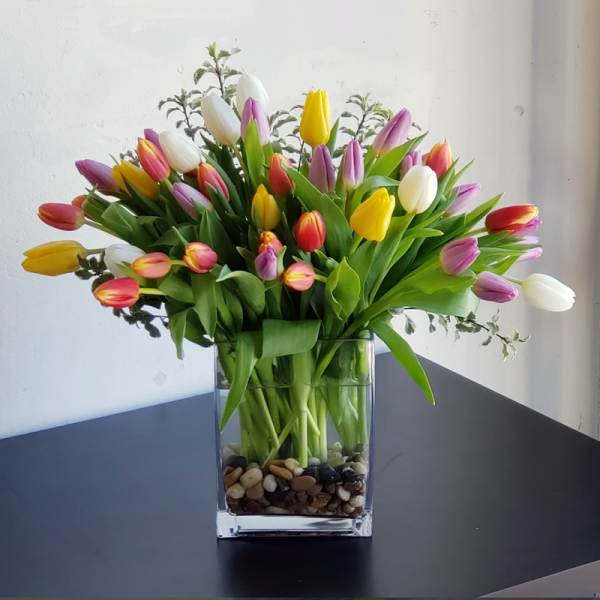 Splash of Tulips