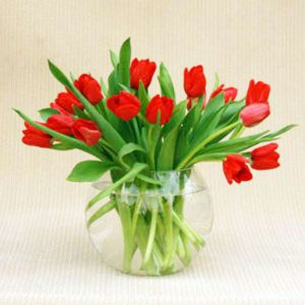 Red tulips arranged in a clear glass vase