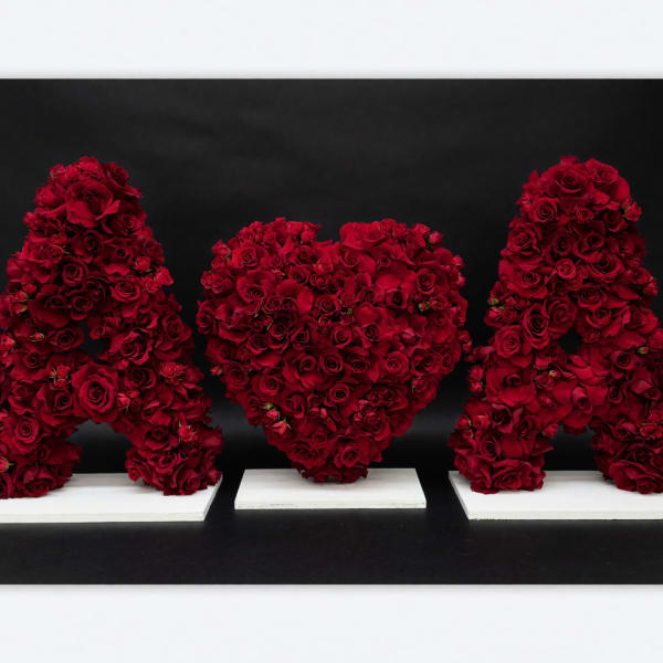 Three red rose arrangements shaped like letters on white bases