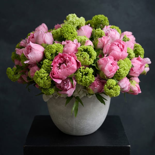 Pink peonies and green pom-pom flowers in a white vase