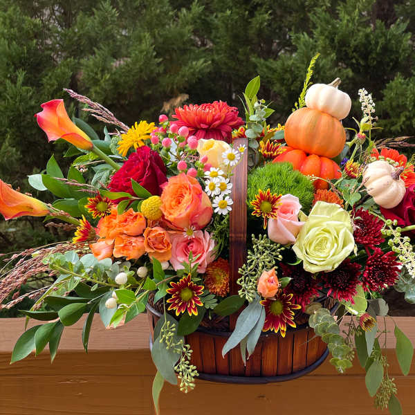 Autumn basket arrangement with orange calla lilies, mixed roses, mums, and mini pumpkins