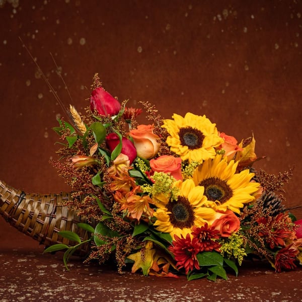 Cornucopia