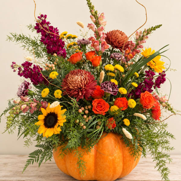 Mixed fall flowers arranged in a pumpkin container