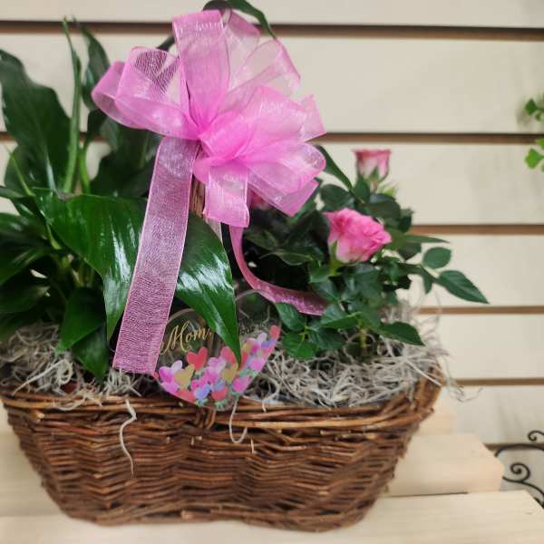 Pink roses and a green plant in a wicker basket with a pink bow