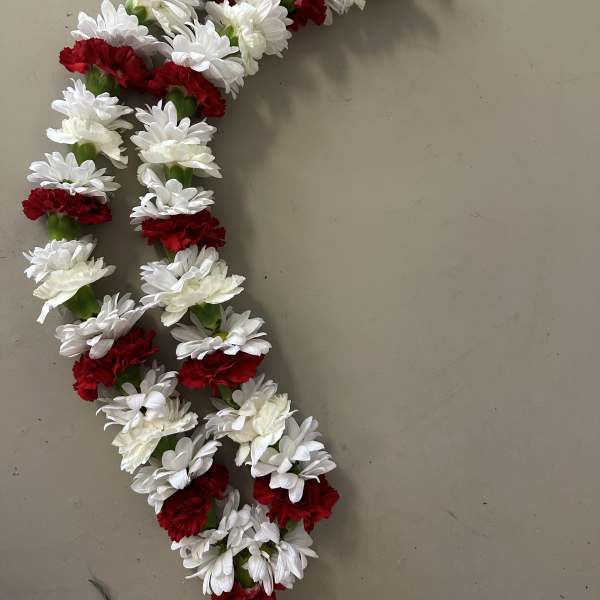Red and white carnation lei arranged in a curved strand