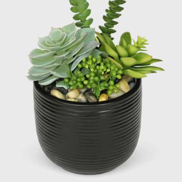 Artificial Succulent Arrangement