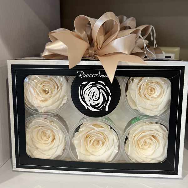 Boxed cream roses with a large satin bow