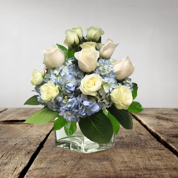 White roses and blue hydrangeas in a clear glass vase