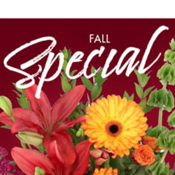 Fall Special Designers Choice