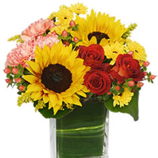 Sunflowers, red roses, and pink carnations in a square glass vase