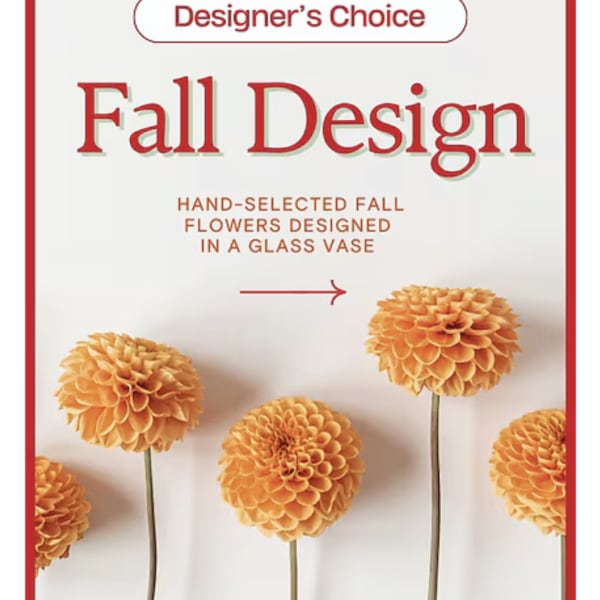 FALL DESIGNER CHOICE