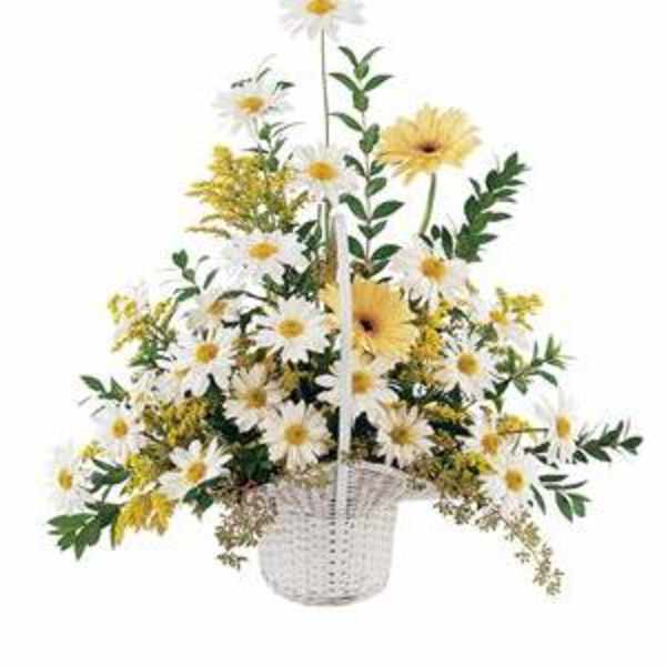 Basket arrangement of white daisies and yellow flowers