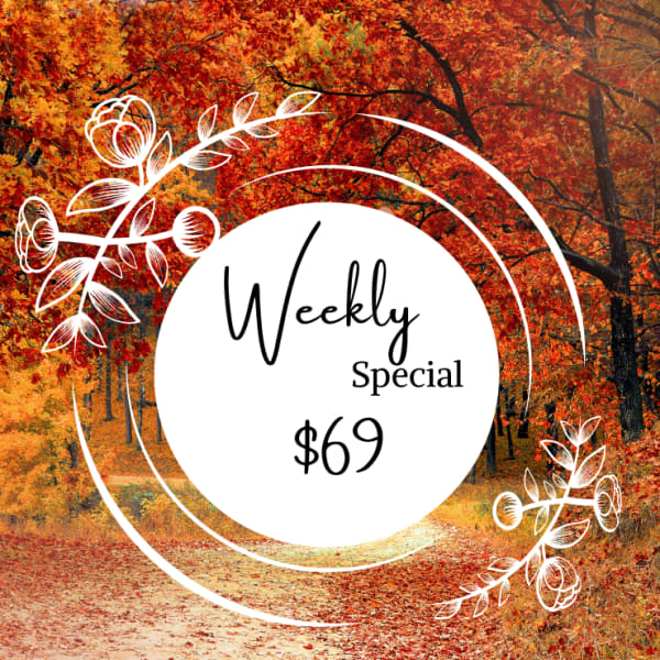 Autumn forest graphic with a Weekly Special $69 sign