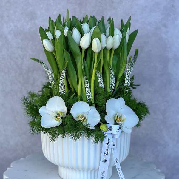 White tulips and orchids arranged in a white pedestal vase