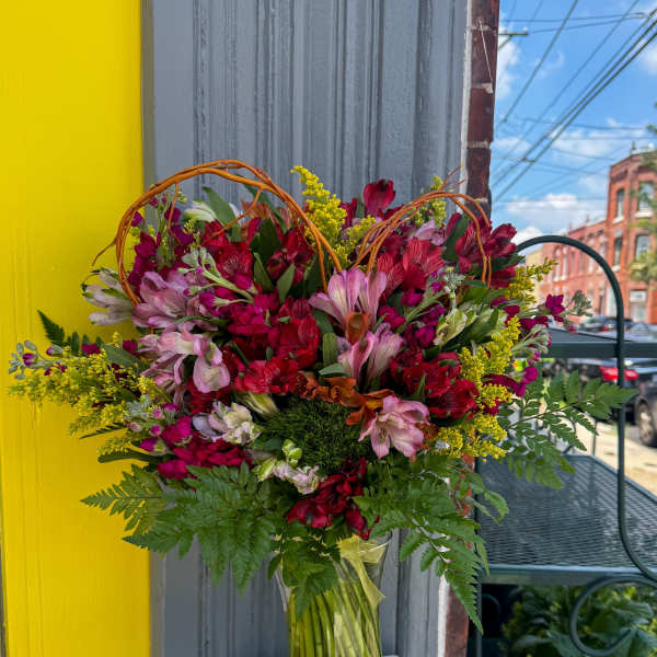 Amazing Alstroemeria