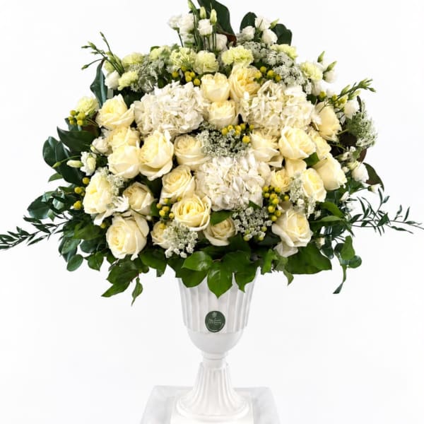 Cream rose and hydrangea arrangement in a white pedestal vase
