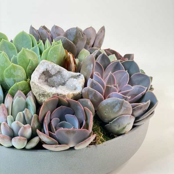 Succulent arrangement in a shallow gray bowl with a crystal stone
