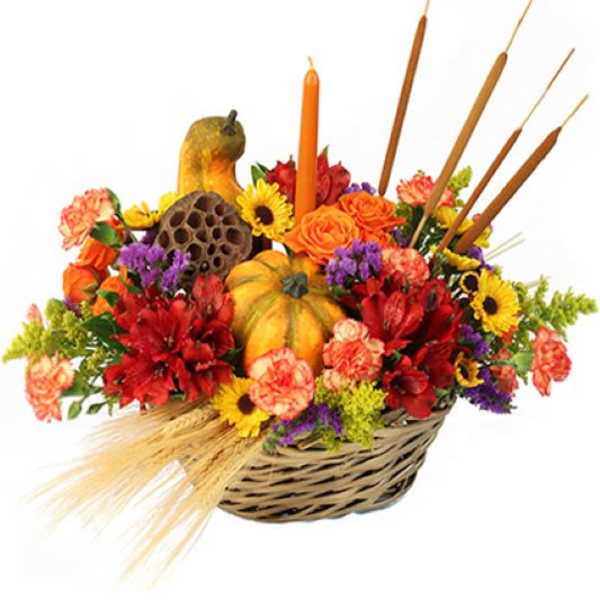 Autumn Gourds