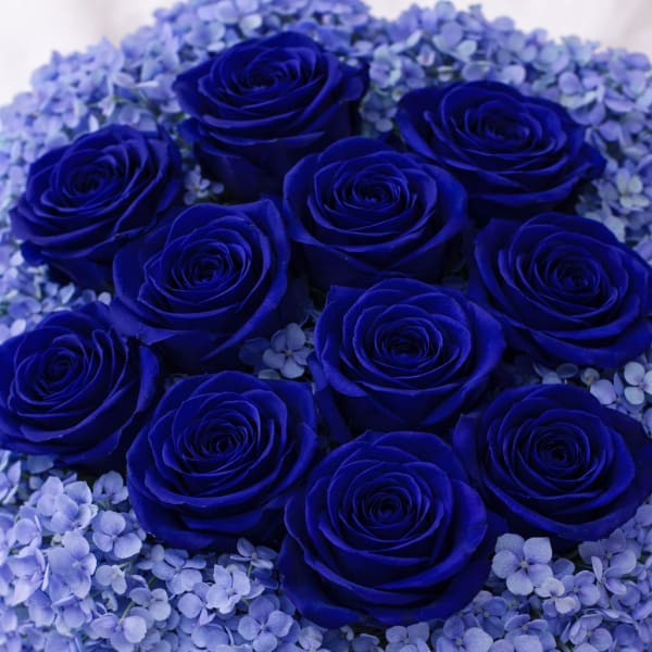 Valentine Rose Bouquet (Blue)