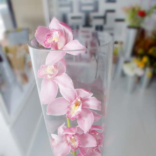 Marina Green Gorgeous