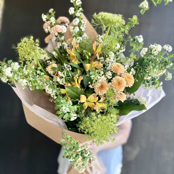 Branches of the Week