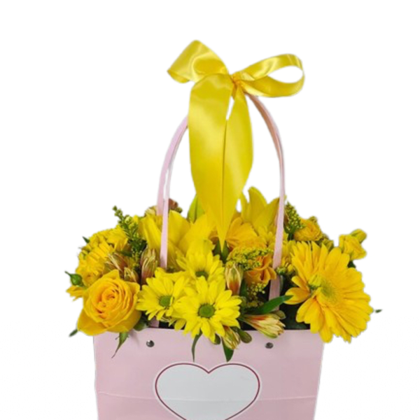 Yellow Pink Bag
