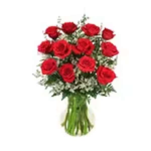 Red Roses & Wispy Whites Classic Dozen Roses