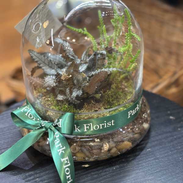 Enchanted Bell Terrarium