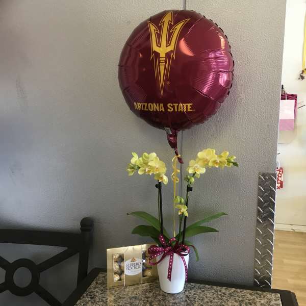 ASU Yellow Orchid Trio