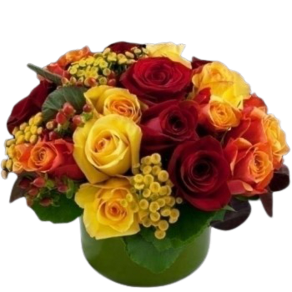 2 dozen Fall Rose Bowl