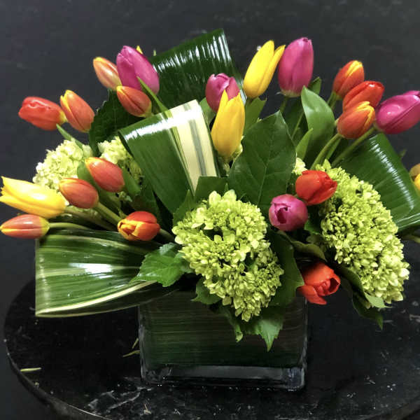 Deluxe Tulip Bouquet