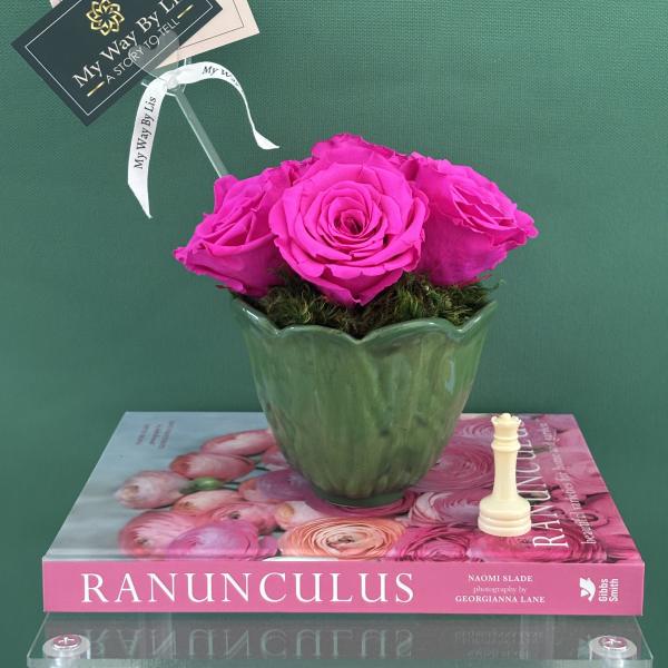 Just shine. (PRESERVED ROSES)