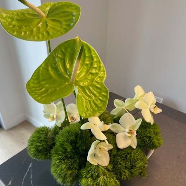 Zen Tropics Modern Arrangement