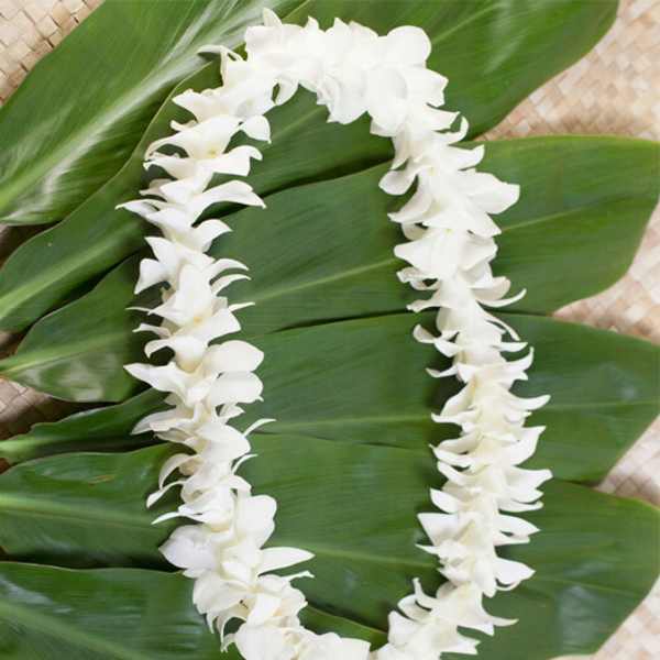 Single White Lei
