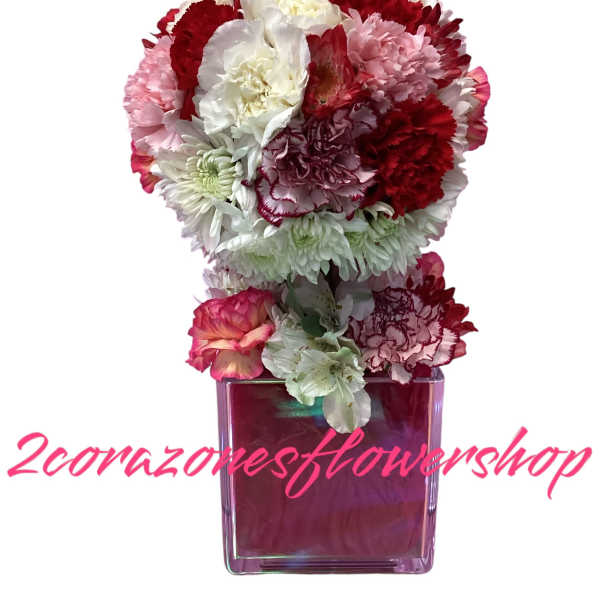 2corazonesinoneworld