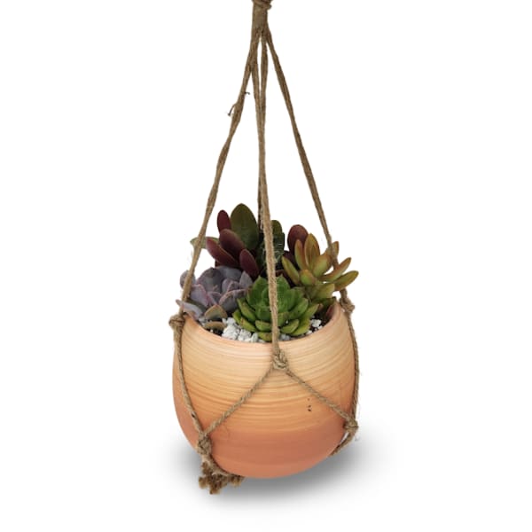 Hanging Succulent Planter