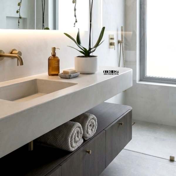 White Phalaenopsis Orchid – Premium Ceramic Pot