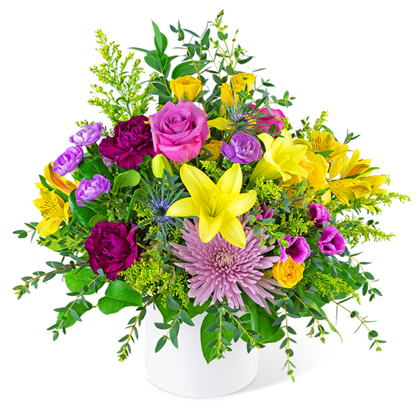 To The Moon and Back