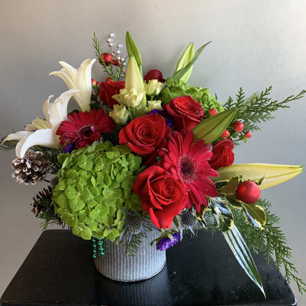 Warm Winter By Elegant