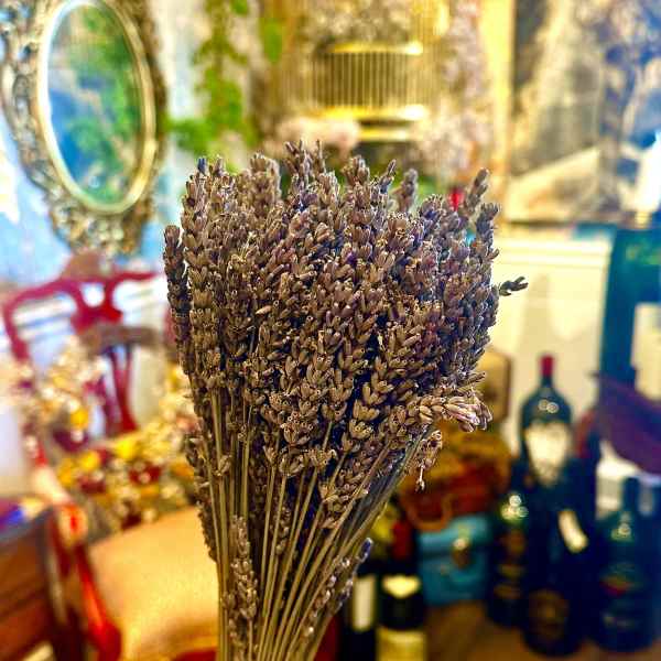 Lavender Bunch