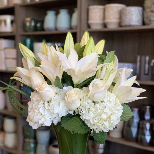 Pure By Willow Garden