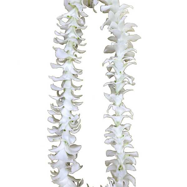 Single White Orchid Lei