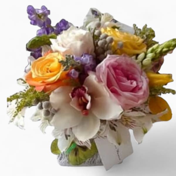 Pastel Cutie Designer's Choice