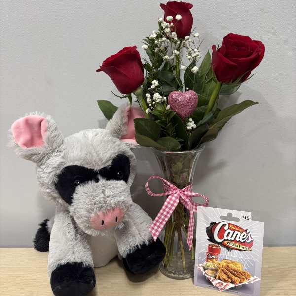 Raccoon Piggy & Canes Trio