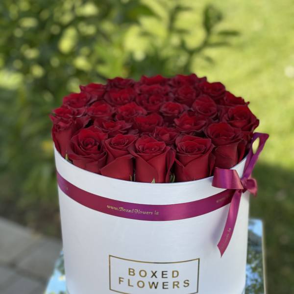 25 Red roses flat box