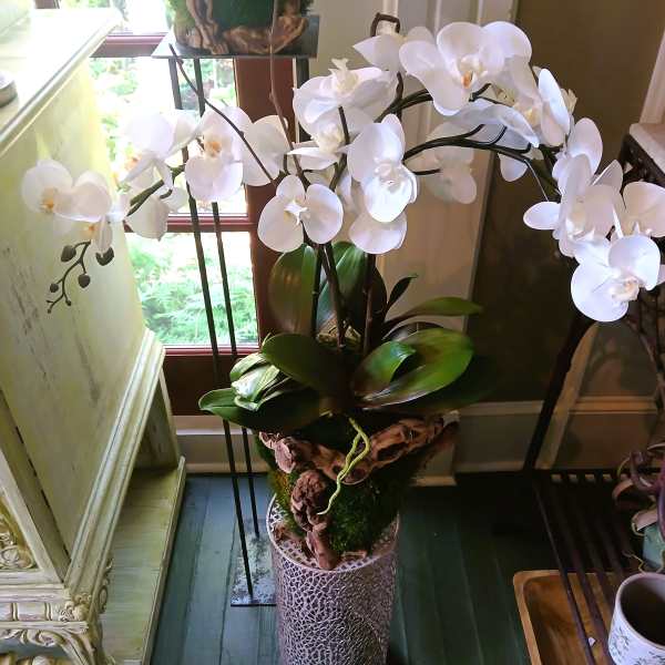 Permanent Orchid Planter