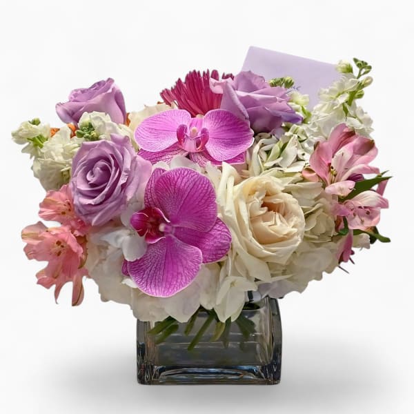 All Occasion Blossoms Beauty