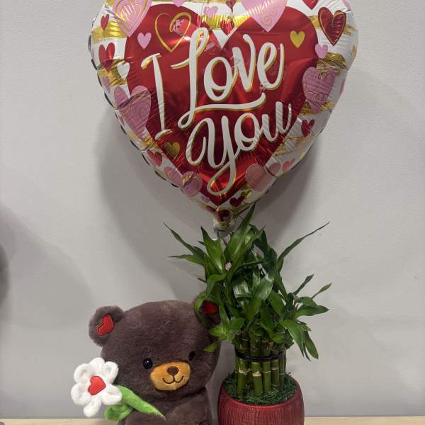 Lucky Bamboo Love Trio