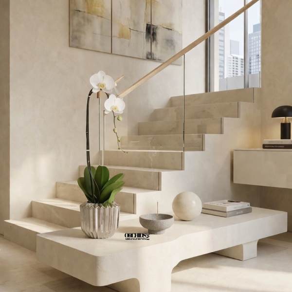 White Phalaenopsis Orchid – Designer Collection